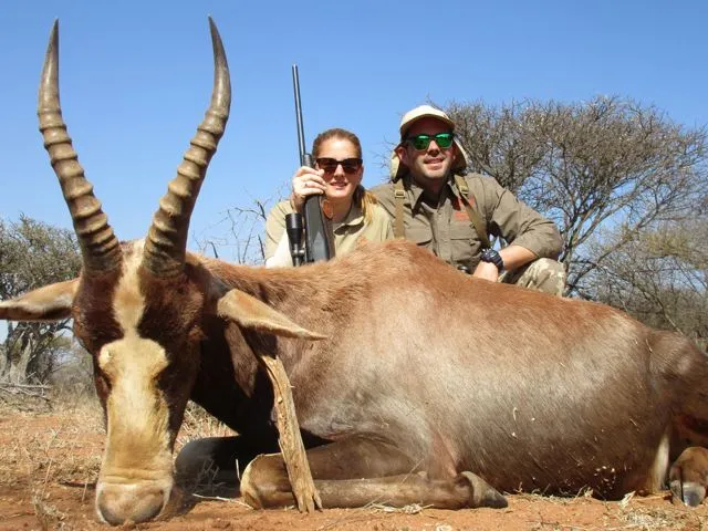 Blesbok - 2