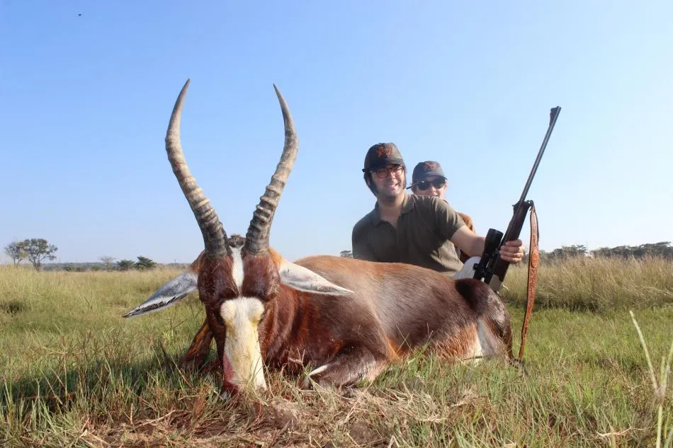 Blesbok - 3