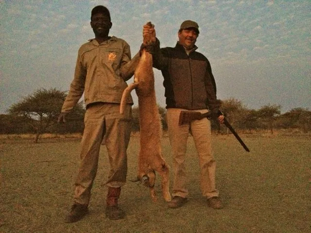 Caracal - 2