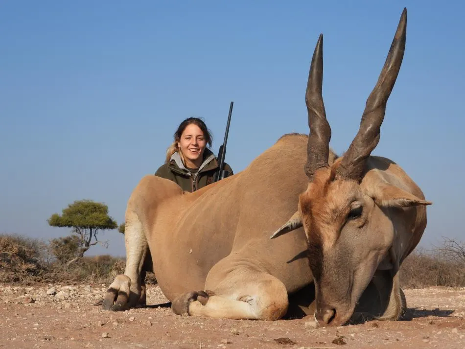 Cape eland - 2