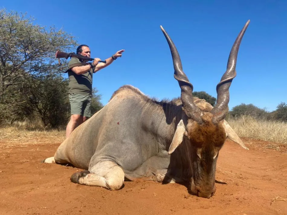 Cape eland - 3