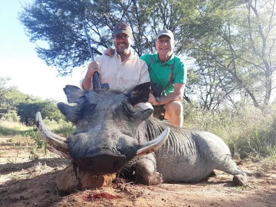 Warthog