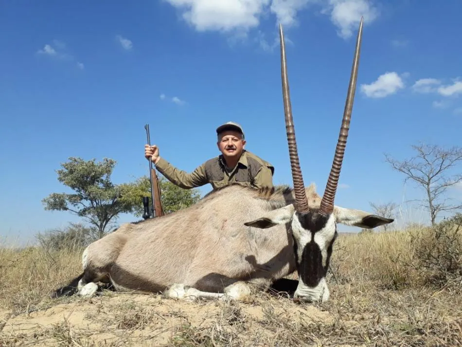 Gemsbok - 2