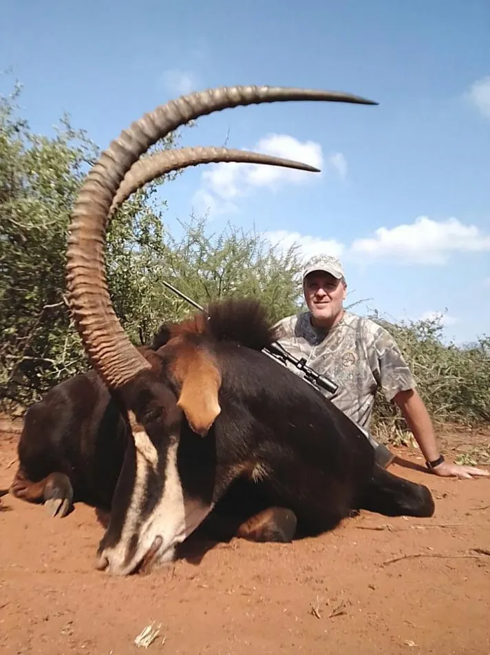African sable