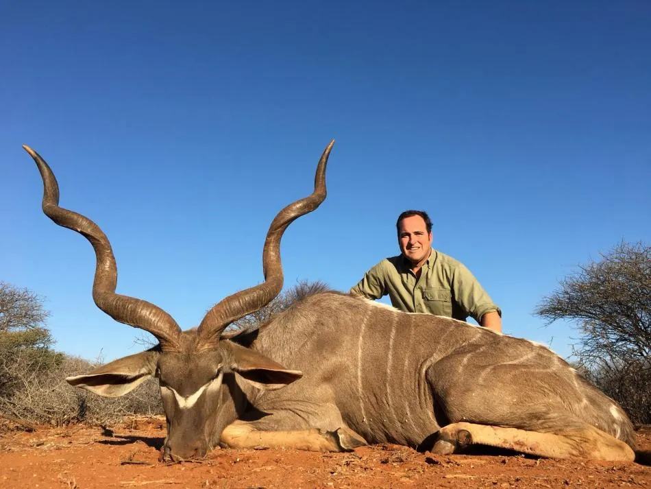 Gran kudu