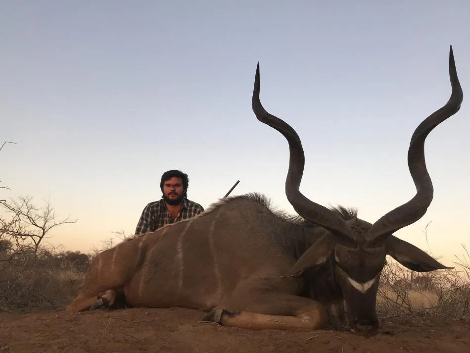 Gran kudu