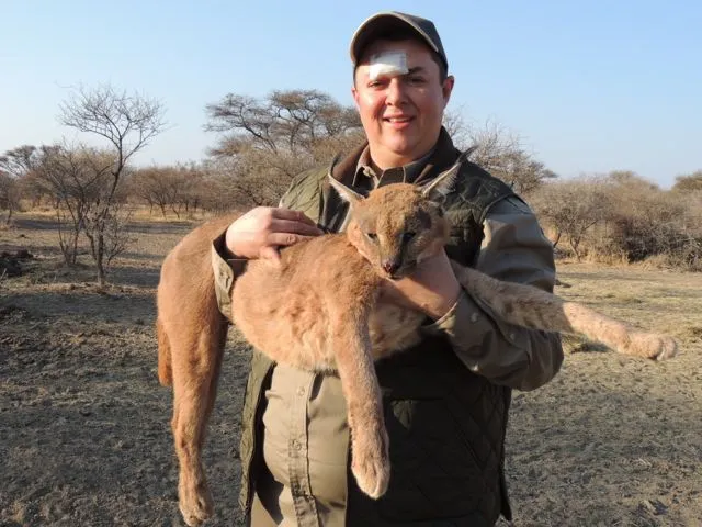 Caracal