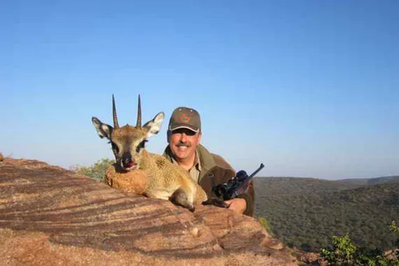 Small Antelopes