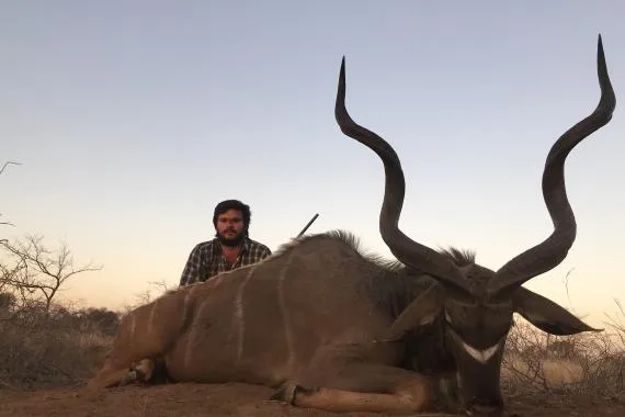 Antelope trophies