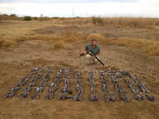 Segundo Reportaje de IBERALIA TV con THE HUNTER'S DREAM SAFARI