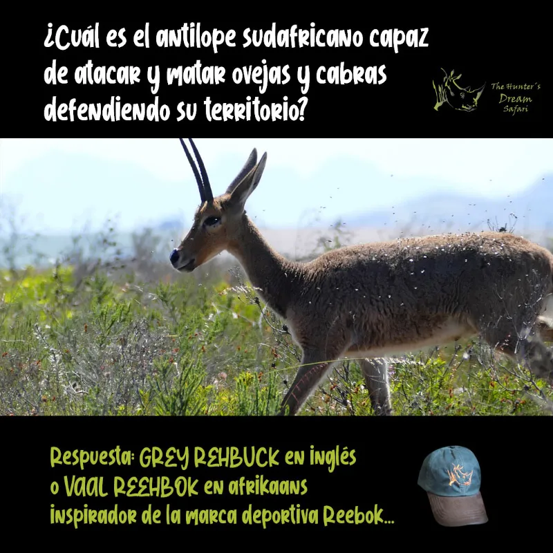 CONCURSO THD 9 de Mayo de 2021