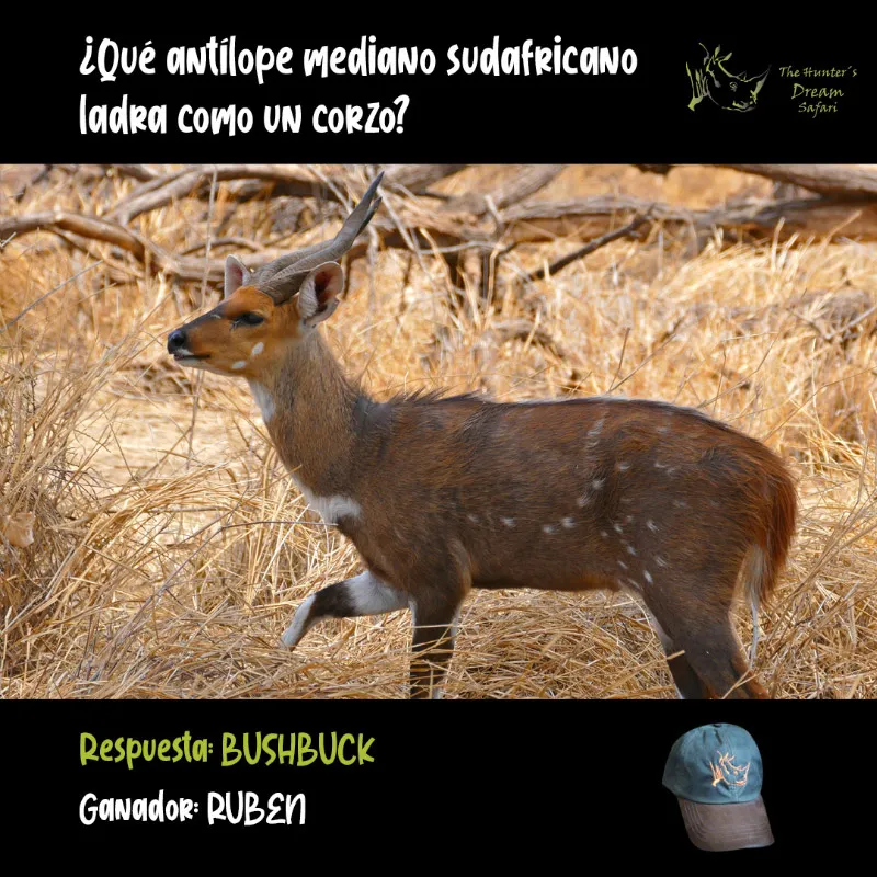 CONCURSO THD 23 de Mayo de 2021