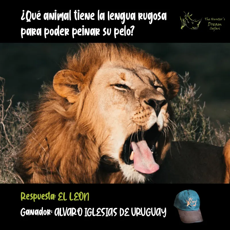 CONCURSO THD 30 de Mayo de 2021