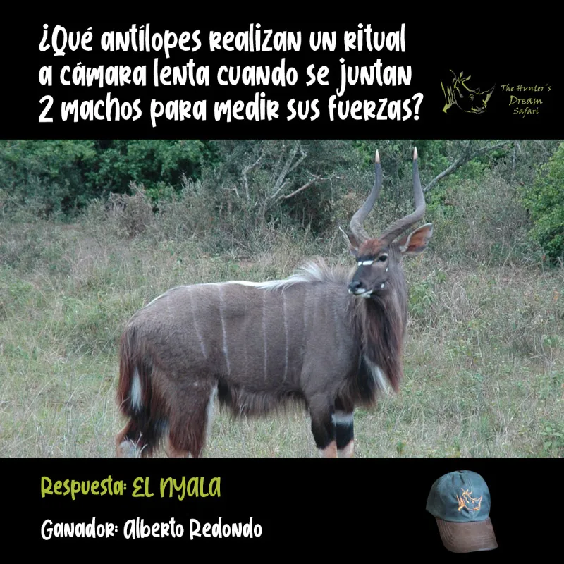CONCURSO THD 20 de Junio de 2021