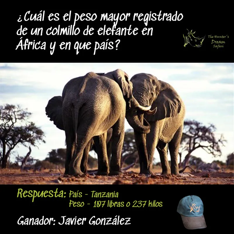 CONCURSO THD 29 de Junio de 2021