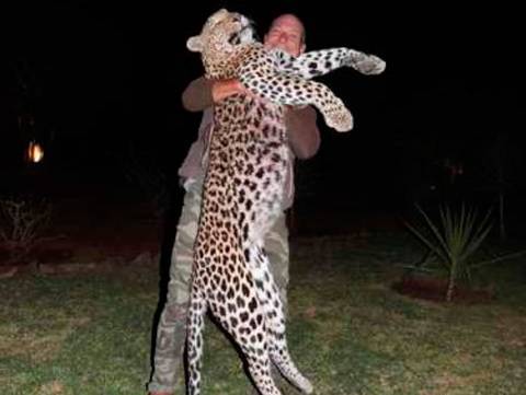 Otro Leopardo!