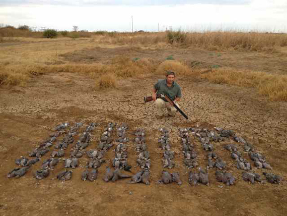 Segundo Reportaje de IBERALIA TV con THE HUNTER'S DREAM SAFARI