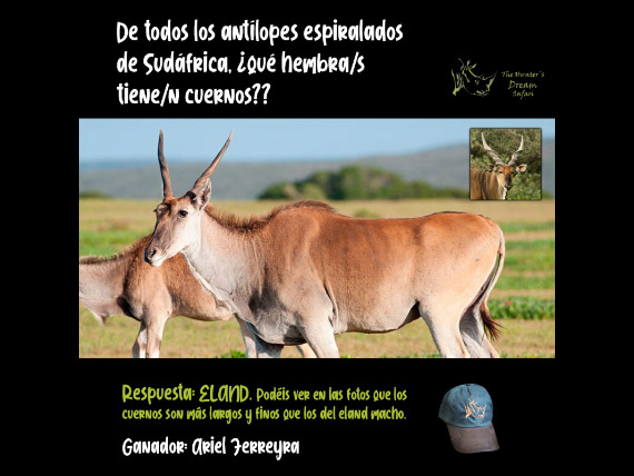 CONCURSO THD 16 de Mayo de 2021