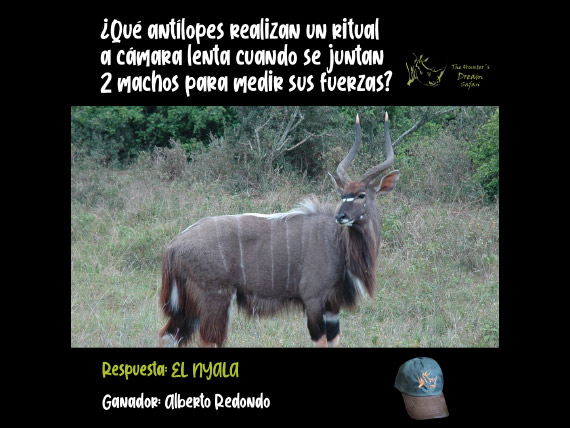 CONCURSO THD 20 de Junio de 2021