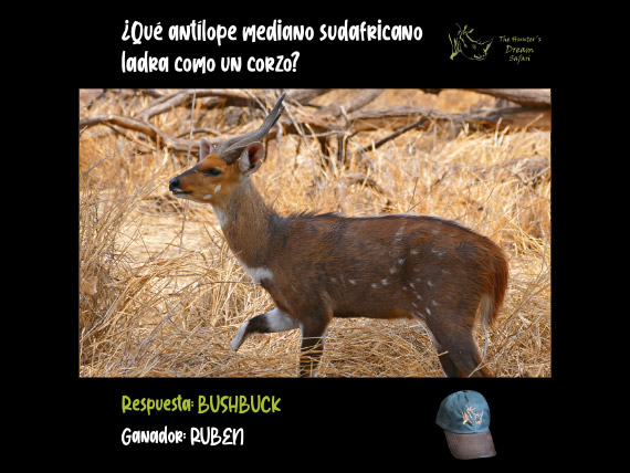 CONCURSO THD 23 de Mayo de 2021
