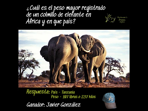 CONCURSO THD 29 de Junio de 2021