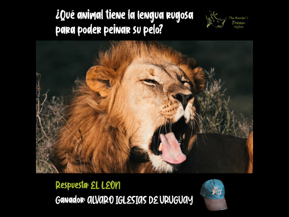 CONCURSO THD 30 de Mayo de 2021
