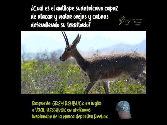 CONCURSO THD 9 de Mayo de 2021