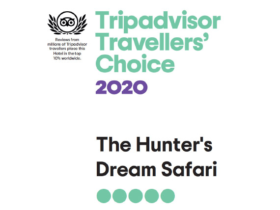 Traveller's Choice 2020 de TripAdvisor